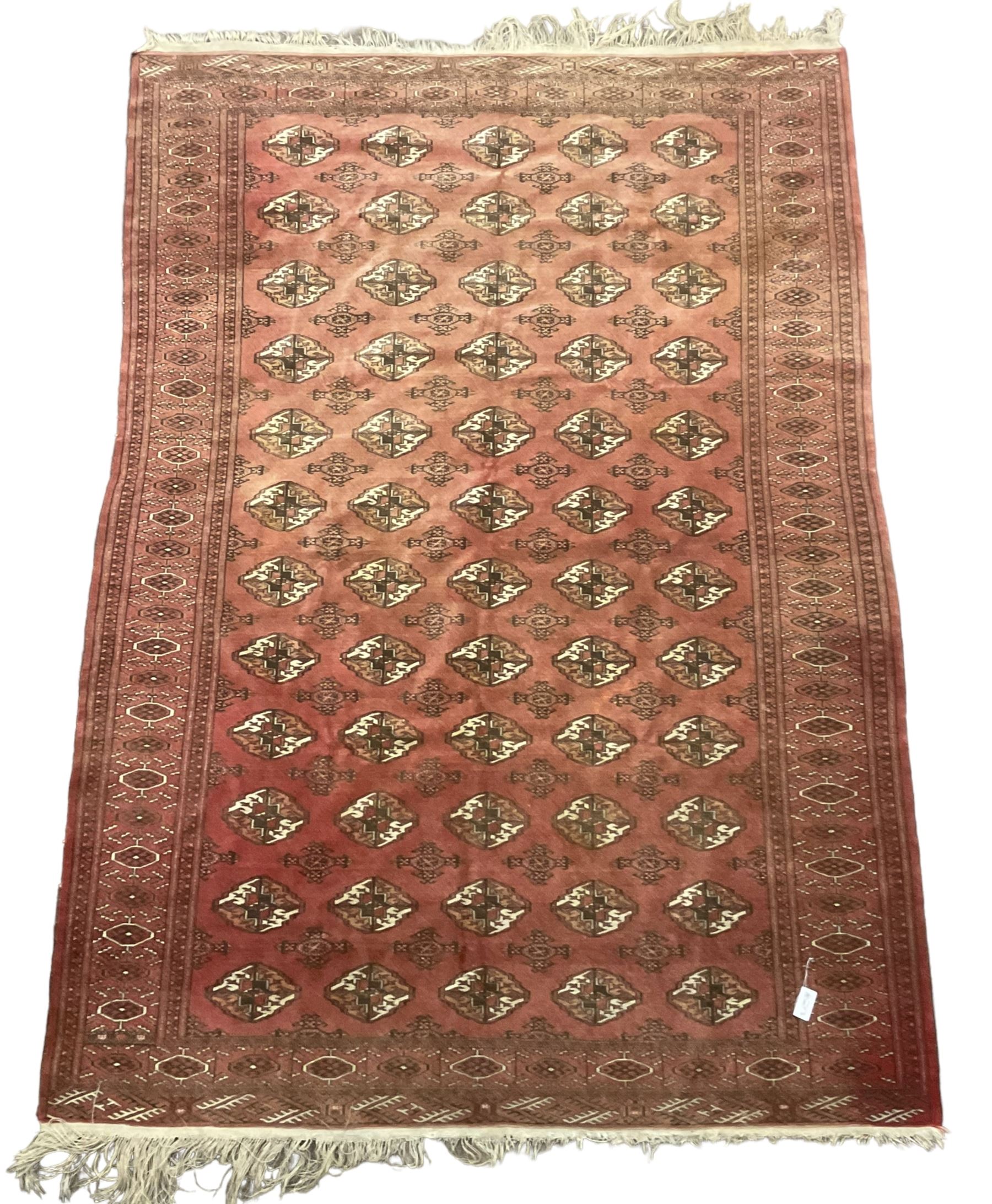 Afghan Bokhara red ground rug, the field decorated with five rows of Gul motifs, guarded border decorated with lozenges and geometric pattern 