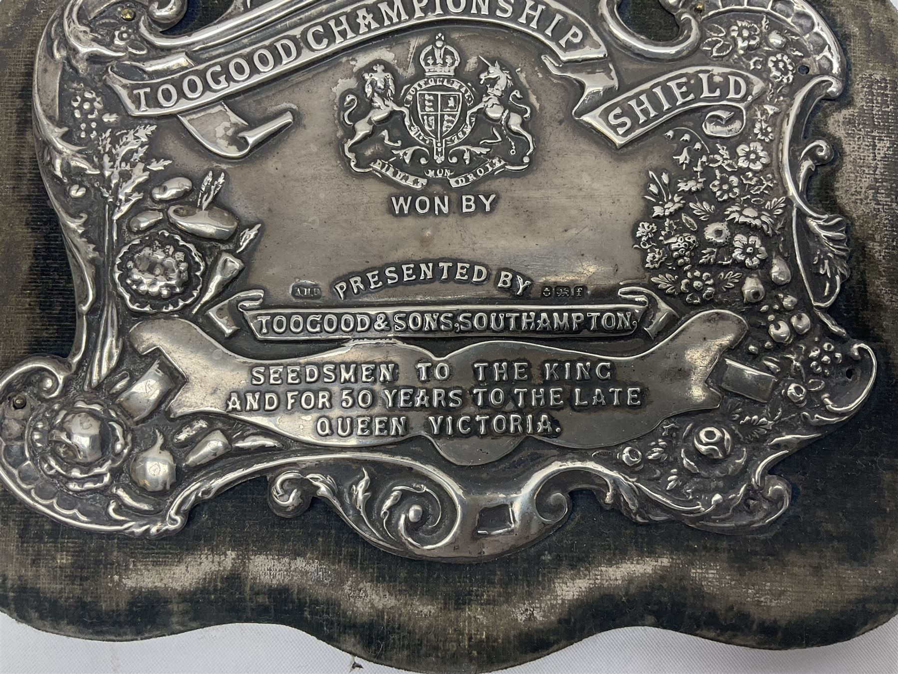 Silver presentation plaque, the Toogood Championship Shield, embossed with lion and flowers, mounted upon a velvet easel style support, hallmarked H17cm