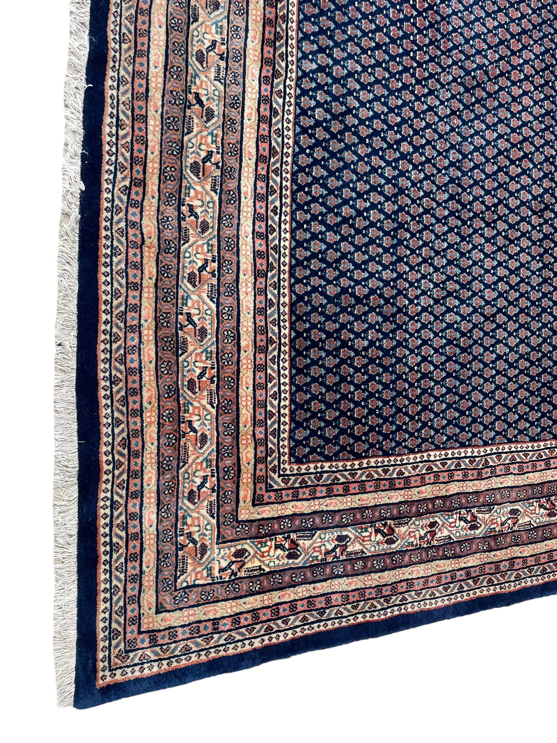 Large North-West Persian Arrak indigo ground carpet, the field decorated all-over with small Boteh motifs, multiple band border decorated with repeating geometric designs