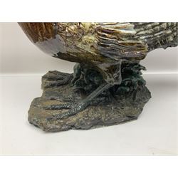 Large stoneware sculpture modeled as a Ring Neck Pheasant, upon a naturalistic base, H55cm, L78cm