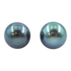 Pair of 9ct gold Tahitian pearl stud earrings, stamped