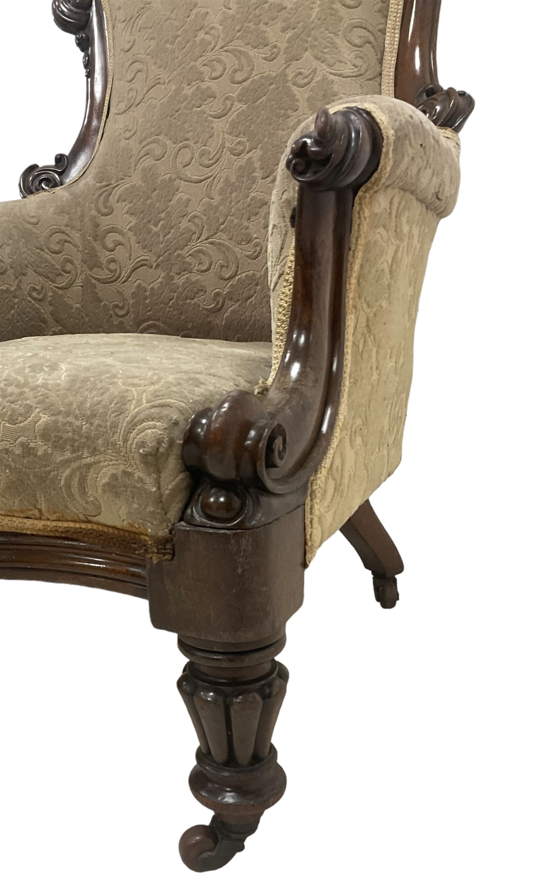 William IV mahogany framed armchair, rolled back with scroll carved uprights, acanthus carved arm terminals over serpentine fronted seat, raised on turned and lobe carved supports with castors