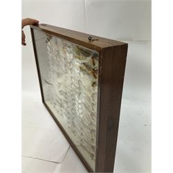 Entomology: Single glazed display of moths, circa 20th century, single glazed display containing one hundred and twenty two various specimens, mainly Arctidae (Tiger) moths, with attached data labels, all pinned upon foam backing and named labels, enclosed within a glazed entomology drawer,  H35cm, L45cm