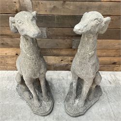 Pair of cast stone French lurchers, seated pose, on shaped plinth