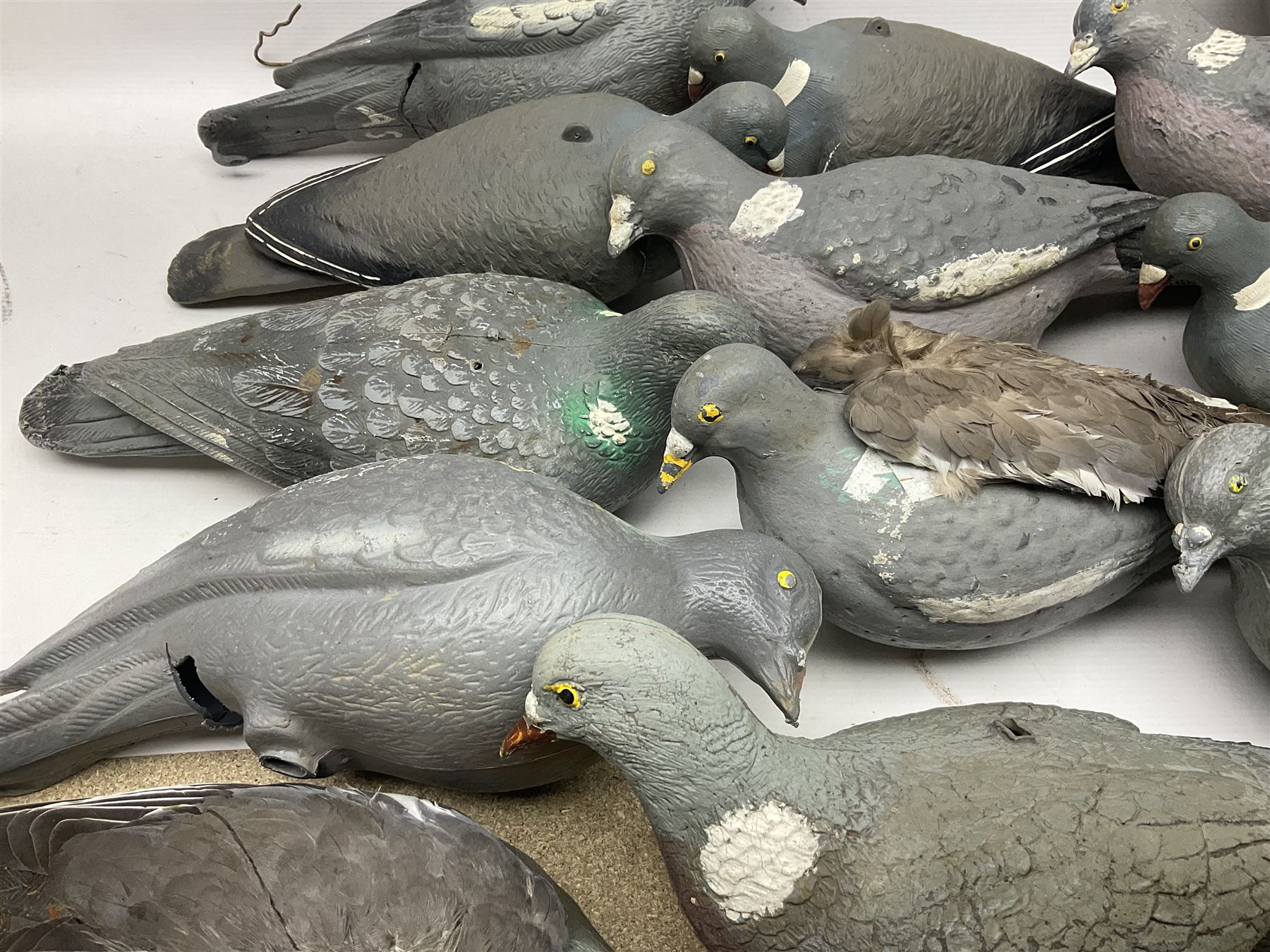 Fourteen Wood Pigeon decoys, together with camouflage netting