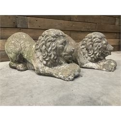 Pair of small cast stone garden recumbent lions