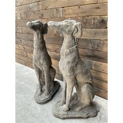 Pair of cast stone French lurchers, seated pose, on shaped plinth