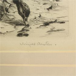 Winifred Marie Louise Austen (British 1876-1964): Ducks Swimming in Marshland Water, pair etchings signed in pencil max 22cm x 27cm (2)