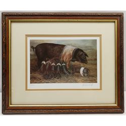 Robert E Fuller (British 1972-): Suckling Pigs, limited edition colour print signed and numbered 44/200 in pencil 17cm x 24cm