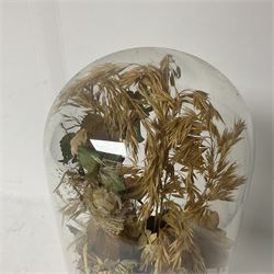 Victorian dome on ebonised wooden base, containing parian vase of silk and dried flowers, H47cm