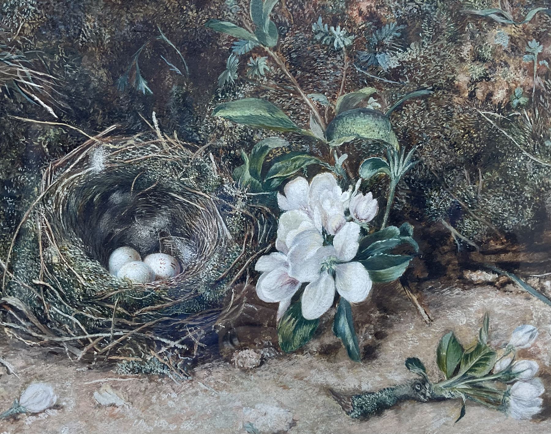 Circle of Oliver Clare (British 1853-1927): Study of a Bird's Nest, watercolour unsigned 22cm x 27cm 