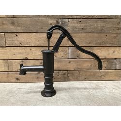 Small cast iron water pump