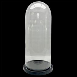 Large glass dome upon circular base, H63cm