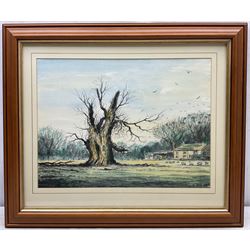 Jack Rigg (British 1927-2023): 'Old Tree near Helmsley', watercolour and ink signed and dated 1987, titled verso 29cm x 39cm