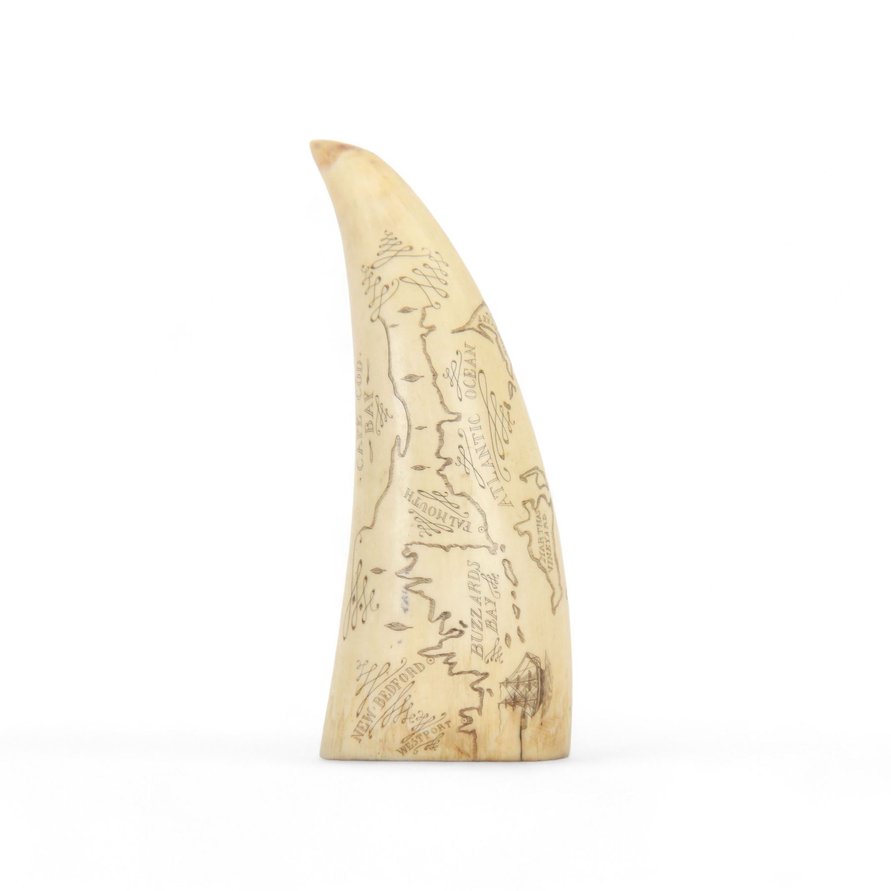 19th century scrimshaw whale tooth, inscribed Cape Cod Bay with a map of American Whaling Ports, H13cm