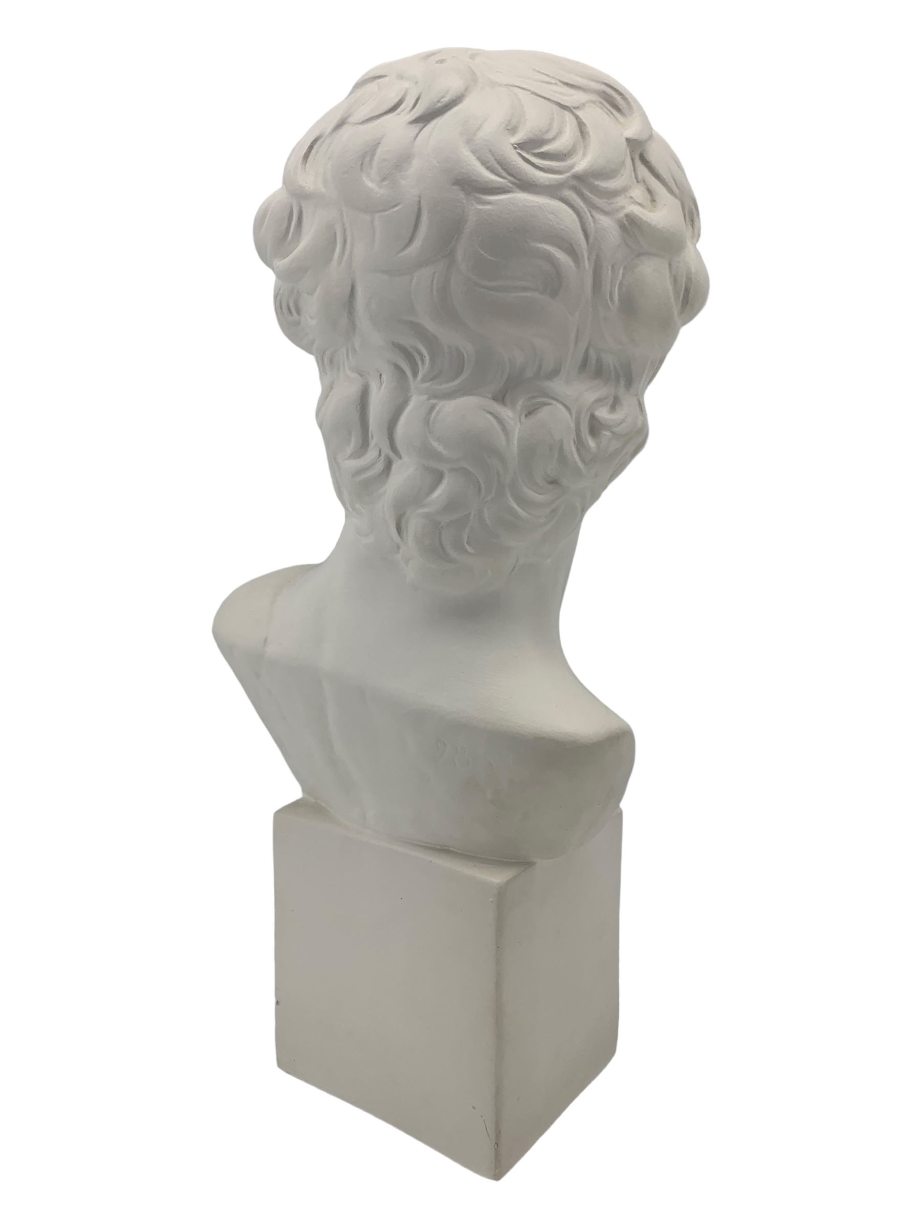 Large plaster bust depicting David, on integral square plinth, H61cm 