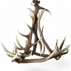 Deer antler chandelier, of triangular form, with three fitted lights H62cm