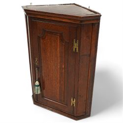 George III oak wall hanging corner cupboard, shaped fielded panelled door enclosing shelves and spice drawers