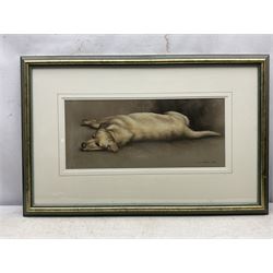 John Naylor (British 1960-): 'Relaxation' - Labrador at Rest, pastel signed and dated 2000, titled verso 24cm x 56cm