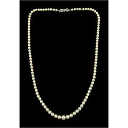 Mikimoto single strand cultured cream / white pearl necklace, with silver marcasite clasp, boxed