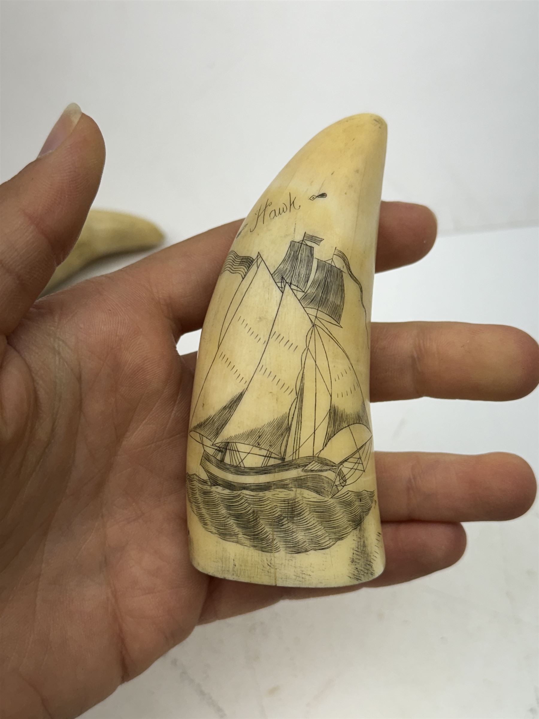 Two 19th century scrimshaw whale tooth, the first inscribed Hawk depicting ship, and the other depicting a ship, largest L9cm 