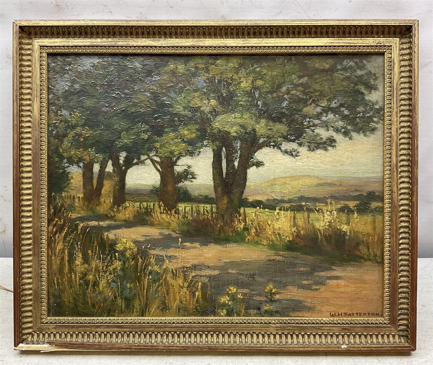 WH Patterson (British Early 20th Century): Tree Lined Road, oil on board signed 25cm x 32cm 