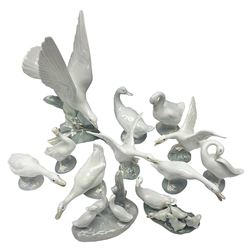 Lladro Turtle dove, together with six Lladro geese, and five other geese figures  