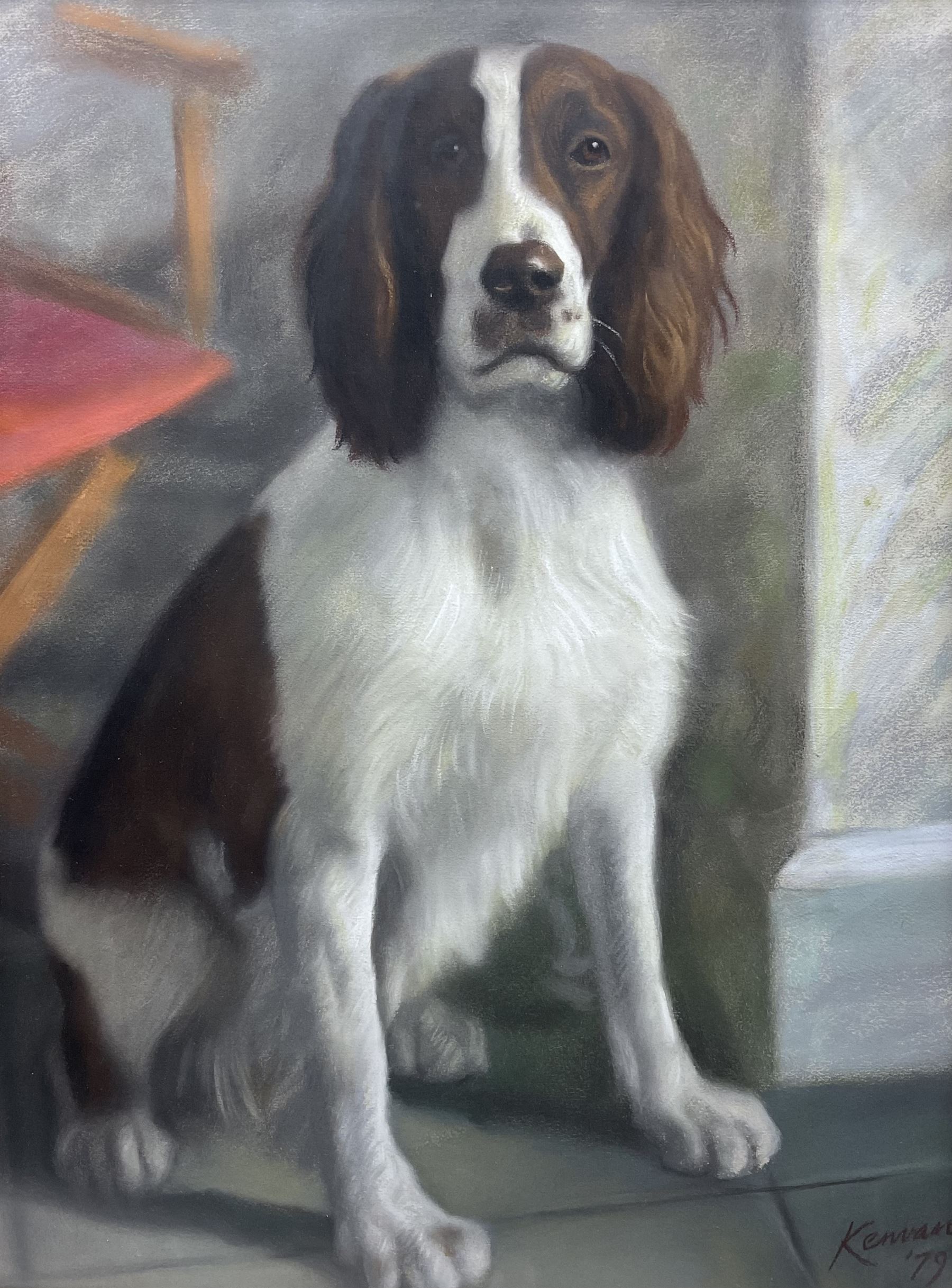 English School (20th Century): 'The Lady Beautiful' Spaniel Portrait, pastel indistinctly signed and dated '79, titled on label verso 60cm x 44cm 