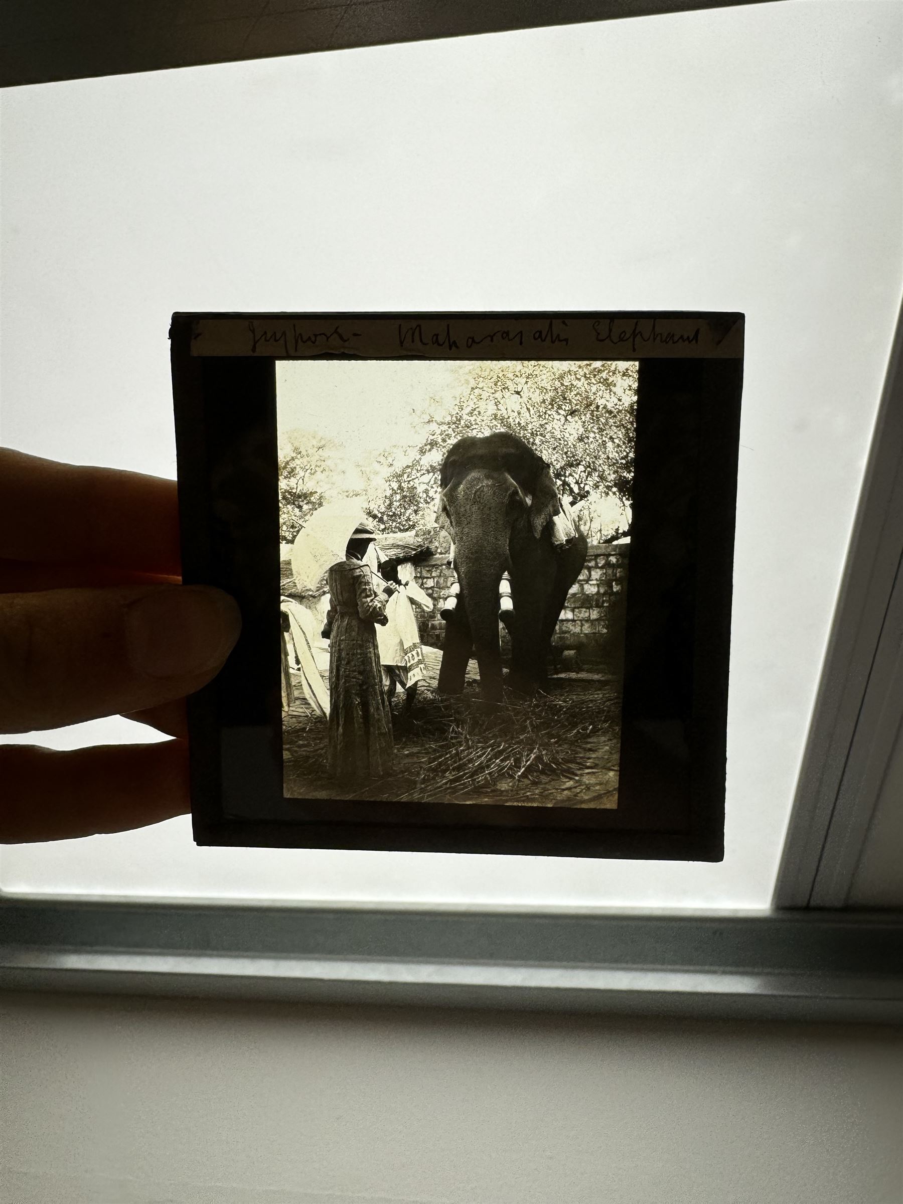 Collection of magic lantern slides, predominantly depicting views of India, with scenes including including the Taj Mahal, tombs, monuments, street scenes, people and animals, in compartmentalised wooden case 