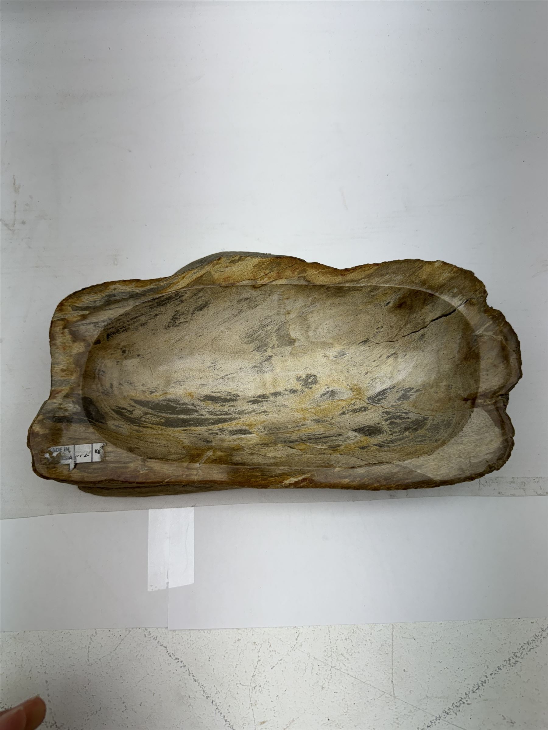 Polished petrified wood dish, some growth rings still visible, texture to edge, H5cm L24cm