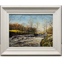 Peter Lapish (British 1937-): 'River Wharfe below Appletreewick', oil on canvas board signed, titled verso 29cm x 39cm