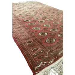 Afghan Bokhara red ground rug, the field decorated with five rows of Gul motifs, guarded border decorated with lozenges and geometric pattern 