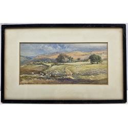 Mary Weatherill (British 1834-1913): Sheep Grazing in the Esk Valley, watercolour signed 13cm x 28cm