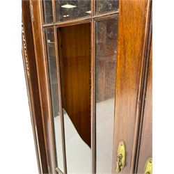 19th century mahogany display cabinet, rectangular top over frieze decorated with Vitruvian scroll mount, enclosed by two astragal glazed doors, the upright rails decorated with trailing bellflowers, on moulded plinth