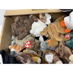 Fifty Ty Beanie babies, including Stinky, Lips, Ants, Zero, Spunky etc