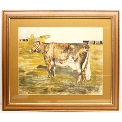 R Farl (British mid 20th century): Portrait of a Dairy Cow, watercolour and ink signed and dated 1935, 50cm x 63cm