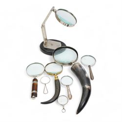 Collection of magnifying glasses, to include Watts & Sons Ltd example, some with horn handles (8)