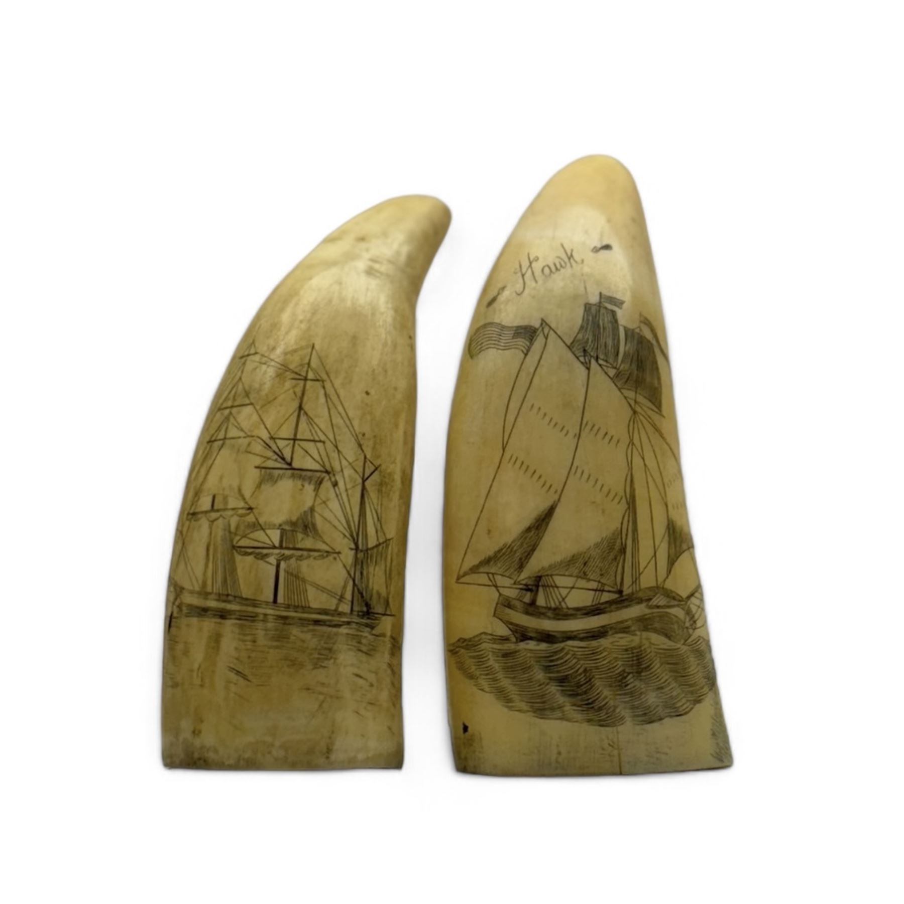 Two 19th century scrimshaw whale tooth, the first inscribed Hawk depicting ship, and the other depicting a ship, largest L9cm 