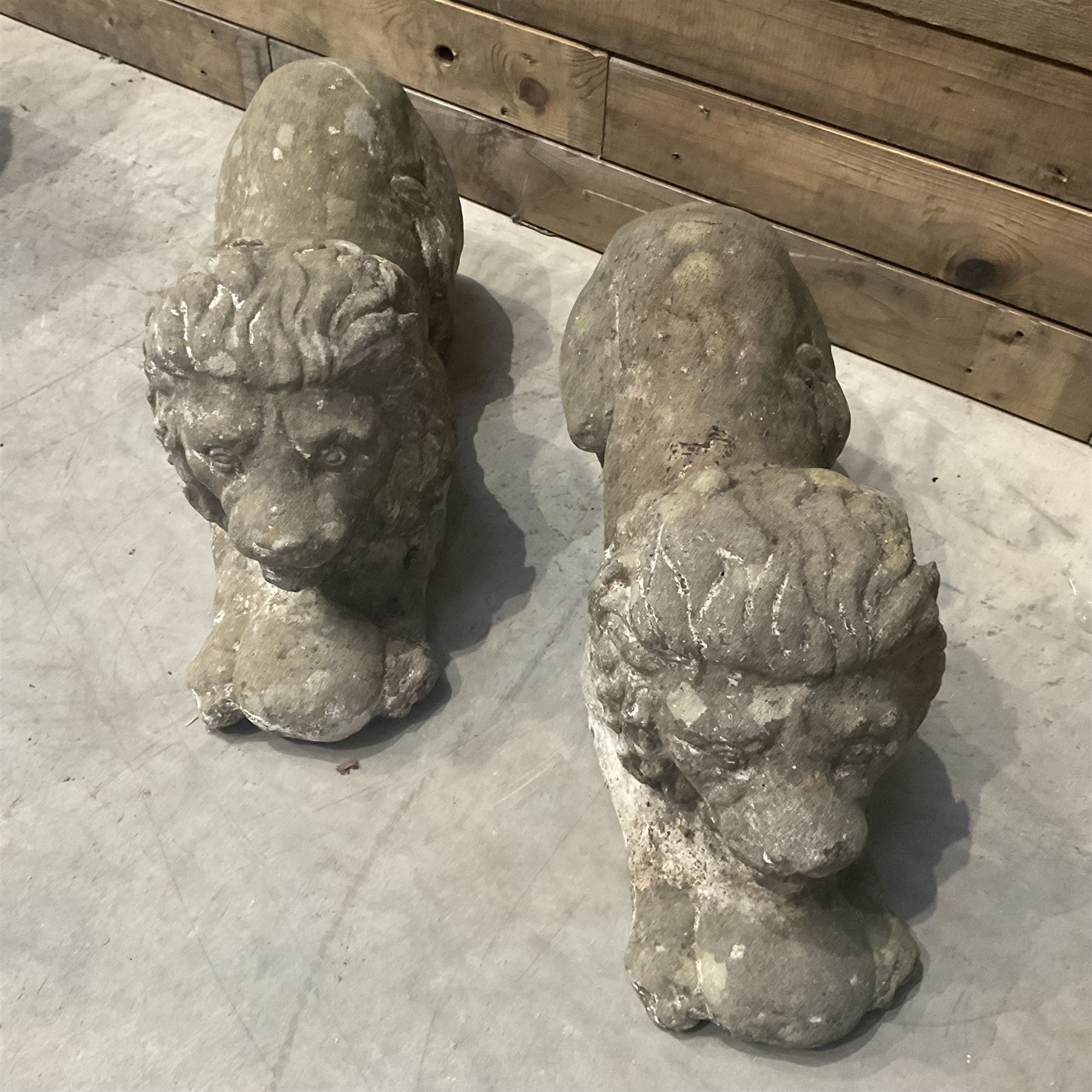 Pair of small cast stone garden recumbent lions