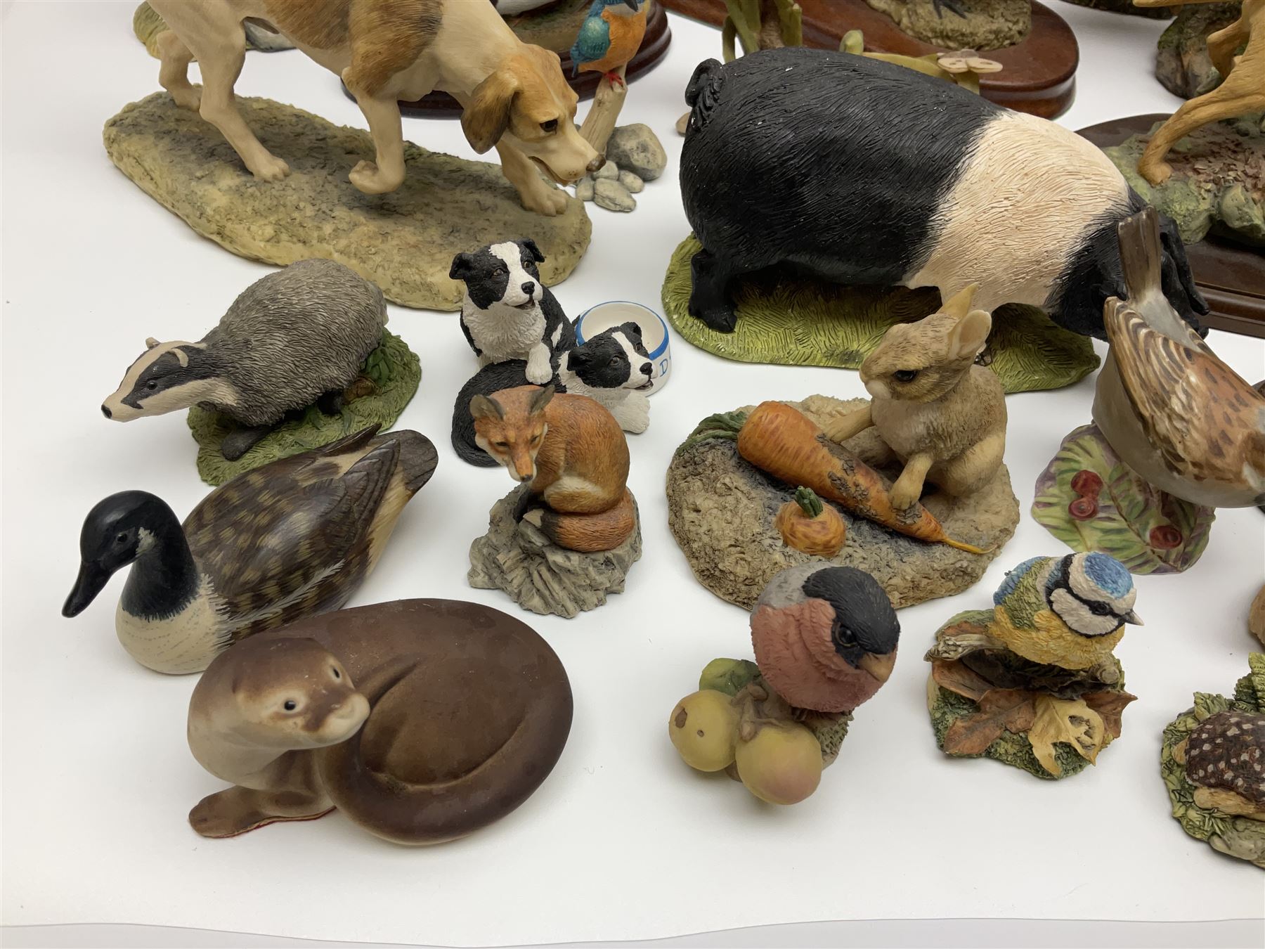 British wildlife, dogs and other animal figures, to include examples by Border Fine Arts, Teviotdale and David Hughes, etc