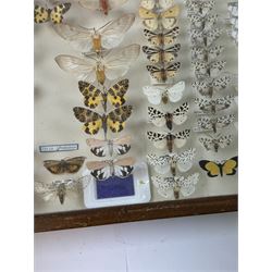 Entomology: Single glazed display of moths, circa 20th century, single glazed display containing one hundred and twenty two various specimens, mainly Arctidae (Tiger) moths, with attached data labels, all pinned upon foam backing and named labels, enclosed within a glazed entomology drawer,  H35cm, L45cm