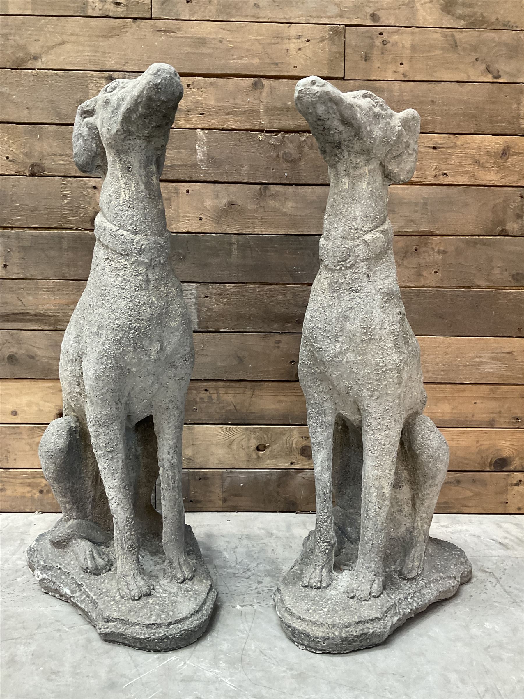 Pair of cast stone French lurchers, seated pose, on shaped plinth