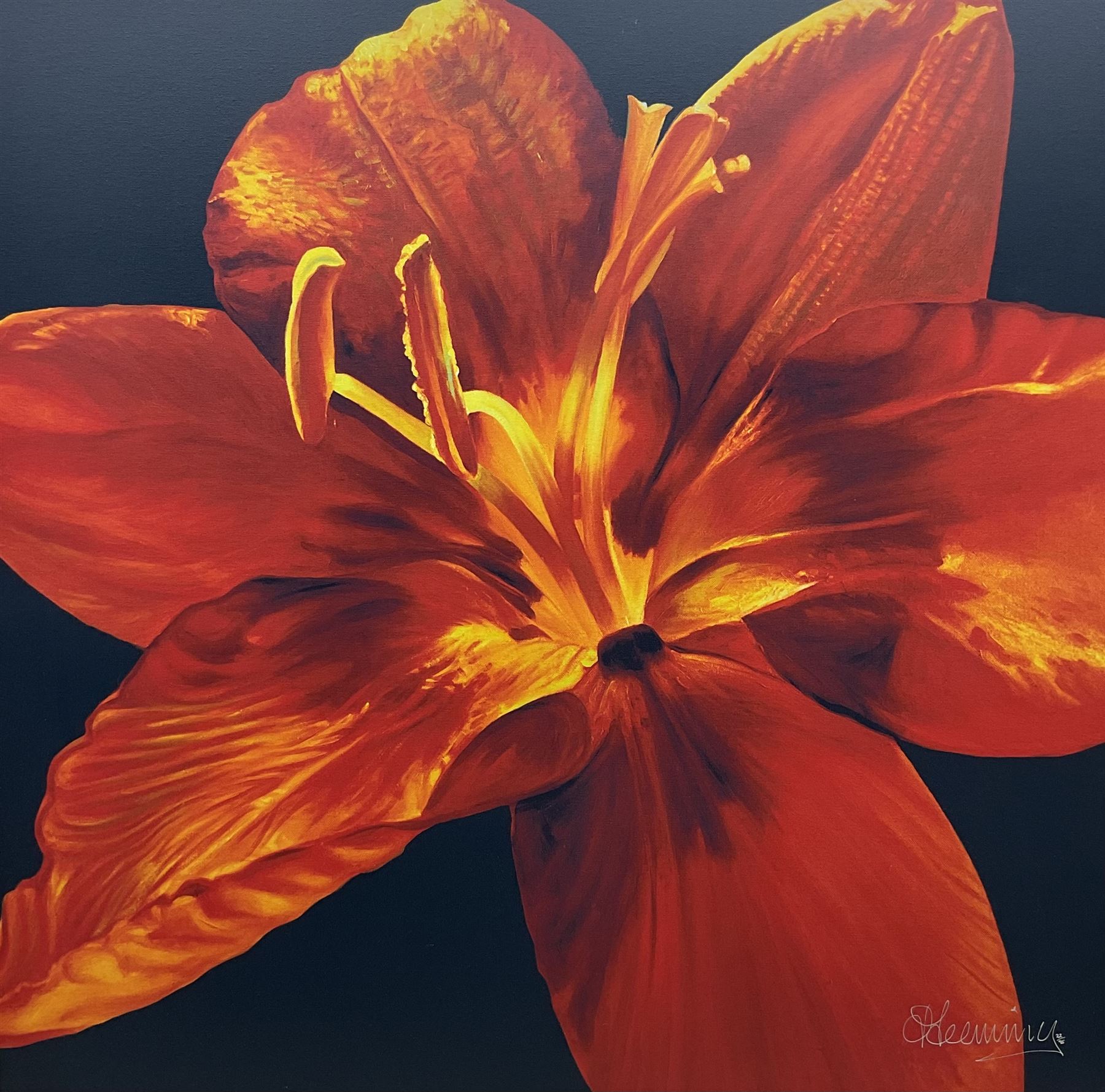 David Leeming (British Contemporary): 'Poetica I' Orange Amaryllis, large limited edition giclee print signed and numbered 22/95, 90cm x 90cm