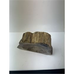 Polished petrified wood dish, some growth rings still visible, texture to edge, H5cm