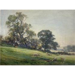 Owen Bowen (Staithes Group 1873-1967): Sheep Grazing, watercolour signed and indistinctly ...