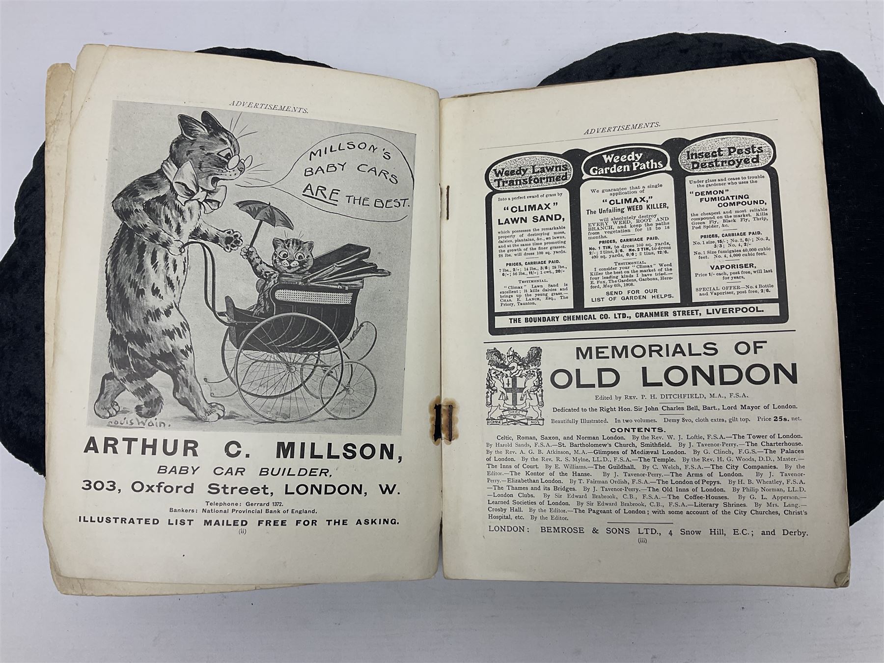 Louis Wain's Annual 1908