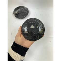 Pair of circular dishes with a raised goniatite and orthoceras and goniatite inclusions, age: Devonian period, location: Morocco, D11cm