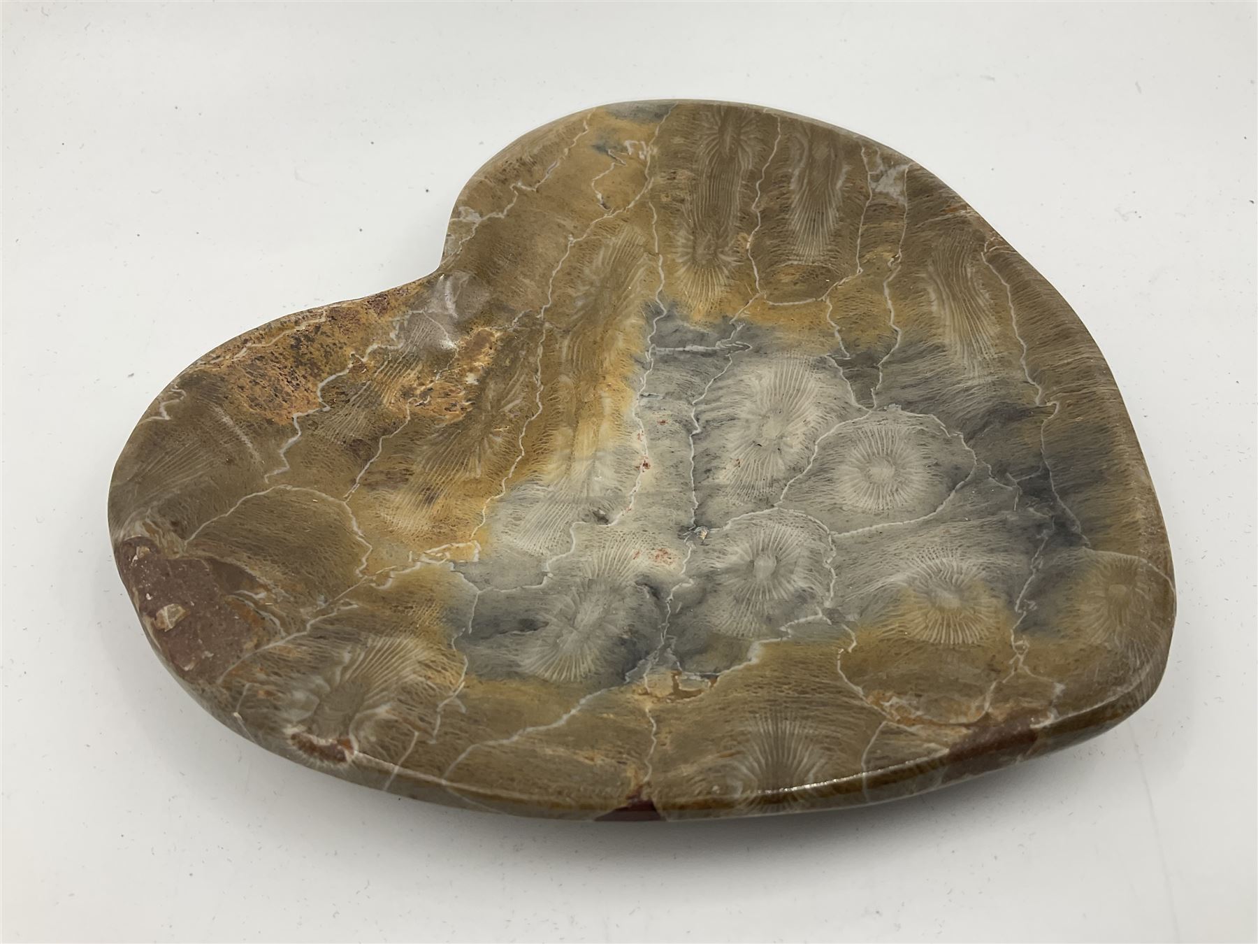 Fossilised coral dish in the form of a heart, D13cm