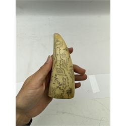 19th century scrimshaw whale tooth, inscribed Cape Cod Bay with a map of American Whaling Ports, H13cm