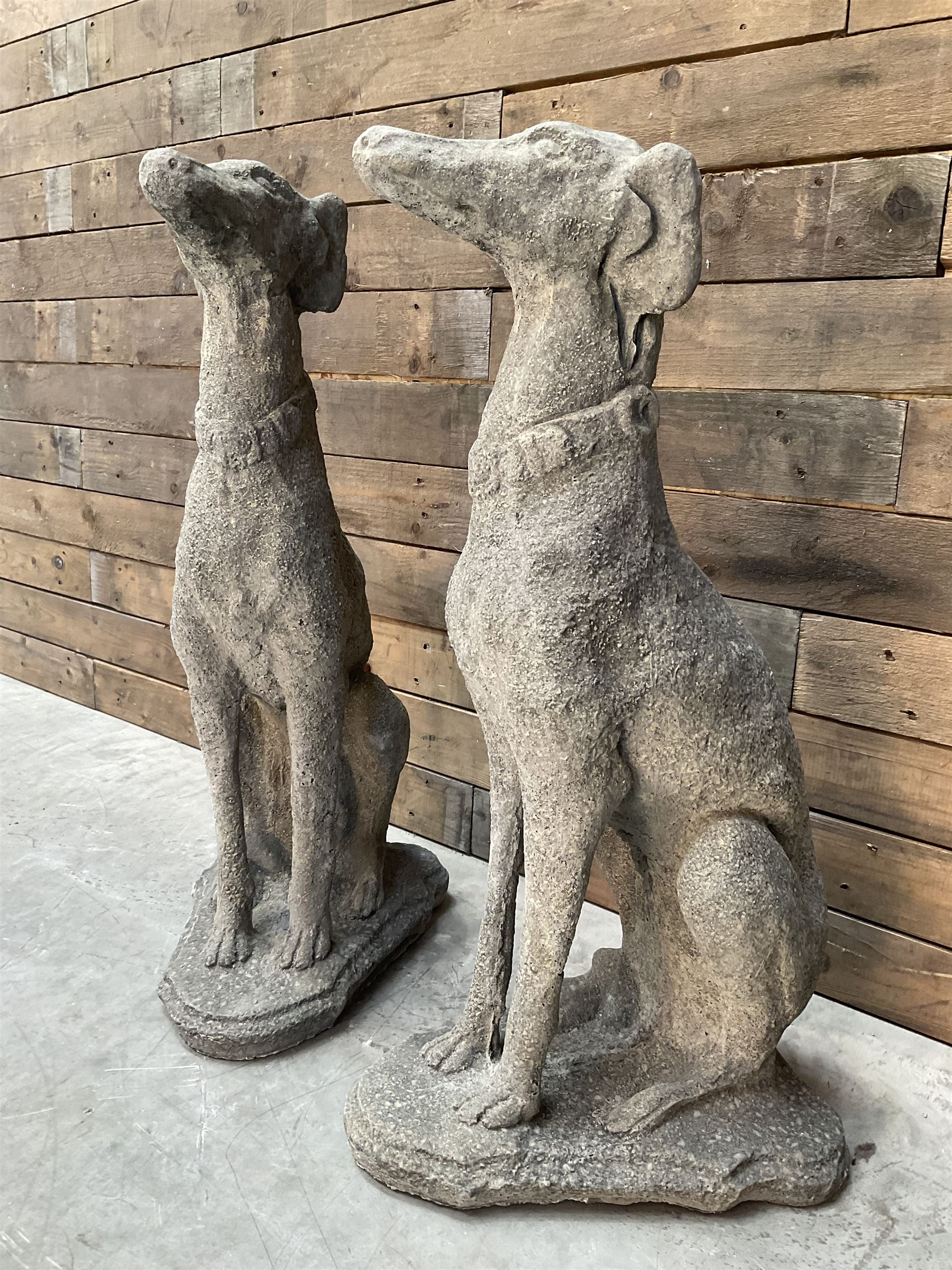 Pair of cast stone French lurchers, seated pose, on shaped plinth